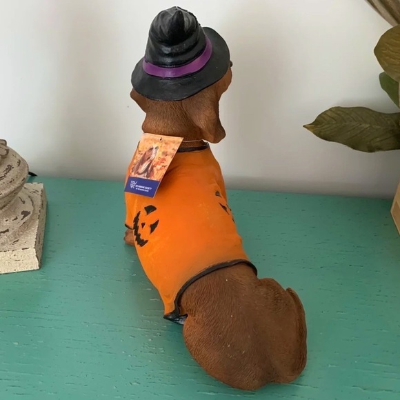 Halloween Dachshund Doxie Weiner Dog in Pumpkin Shirt with a Witch Hat - Picture 2 of 3